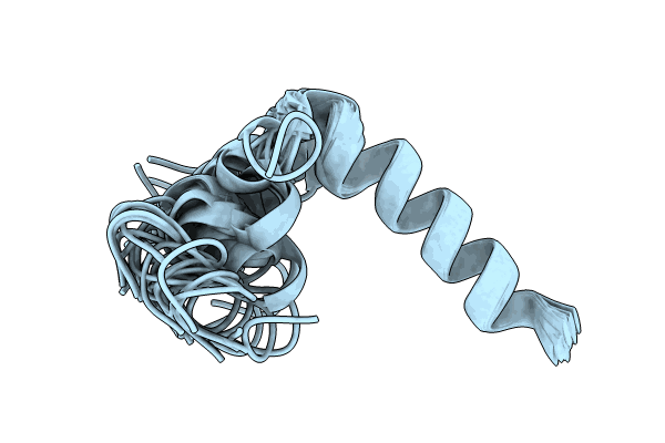 9F1E image