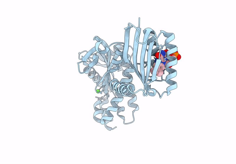9F1X image