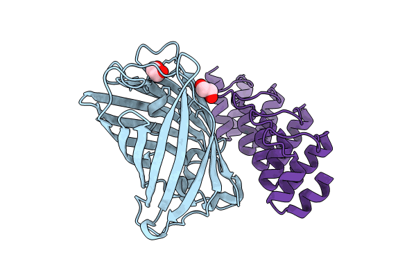 9F22 image
