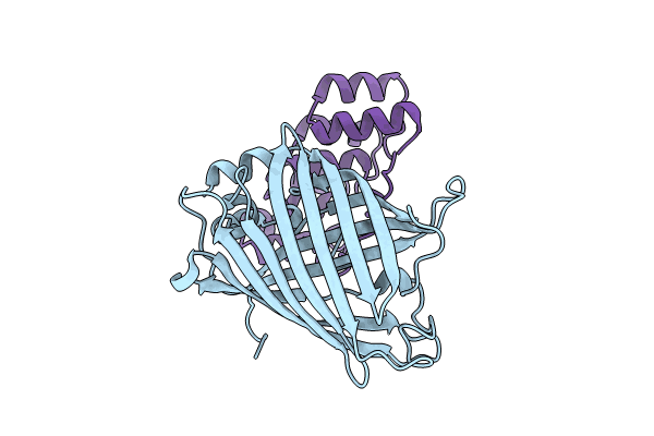 9F24 image