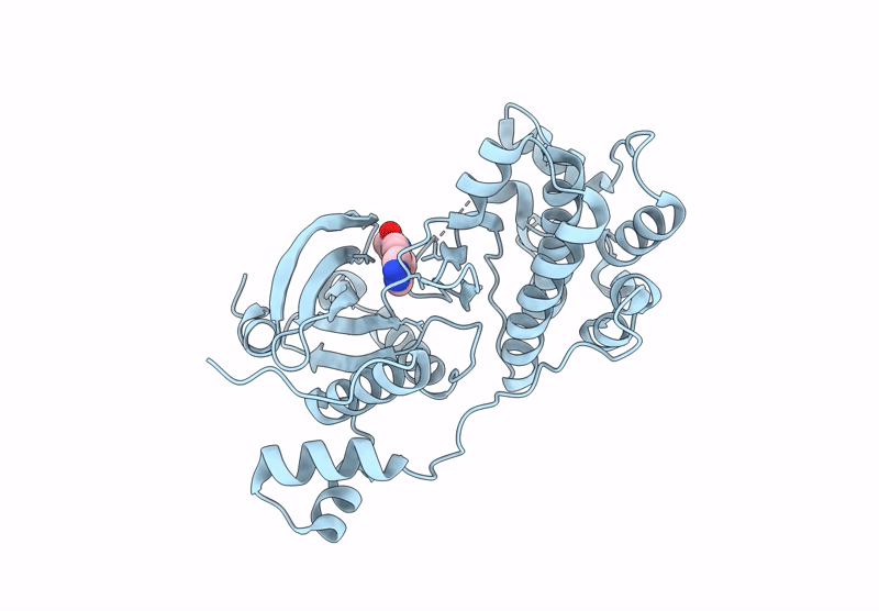 9F31 image