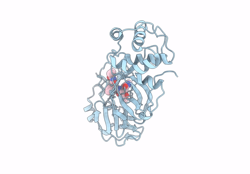 9F39 image