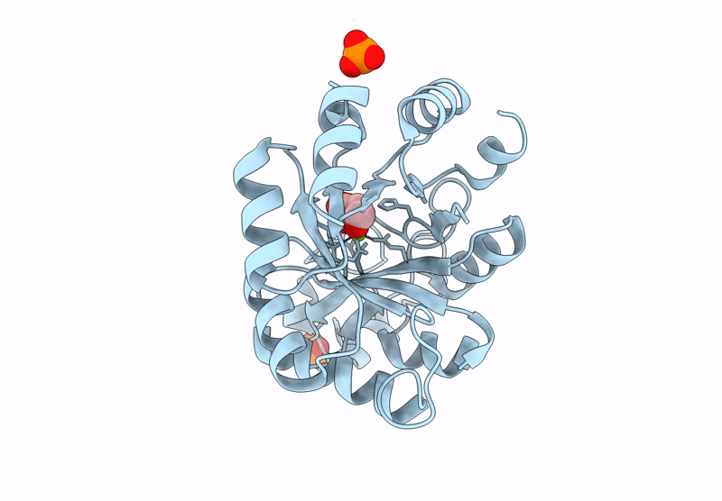 9F49 image