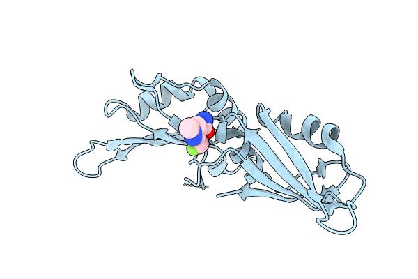 9F4V image