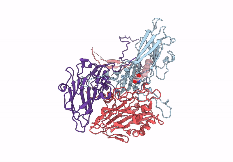9F59 image