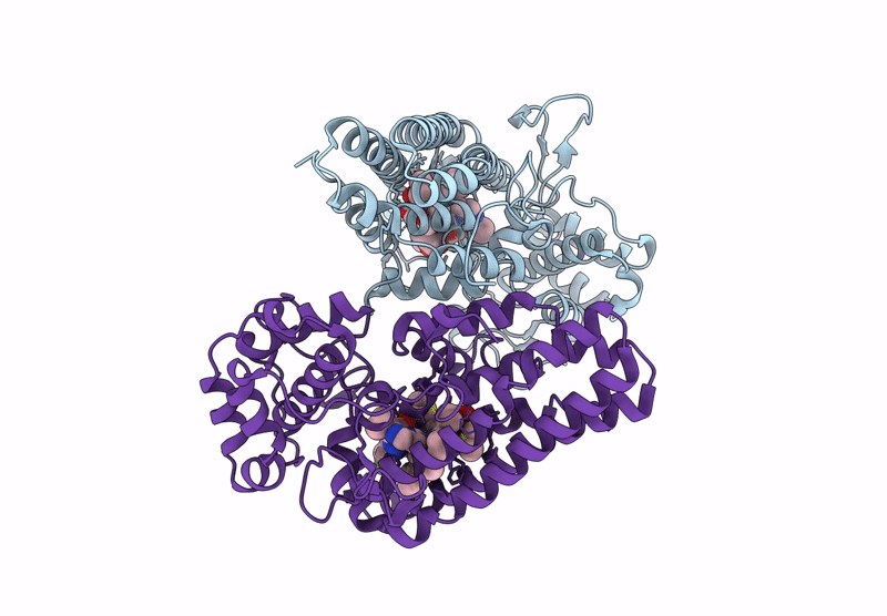 9F5R image