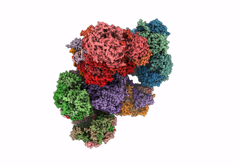 9F5X image