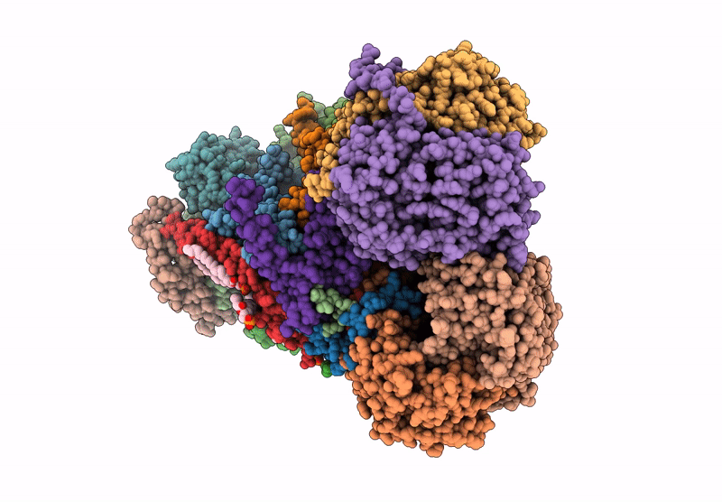 9F5Z image