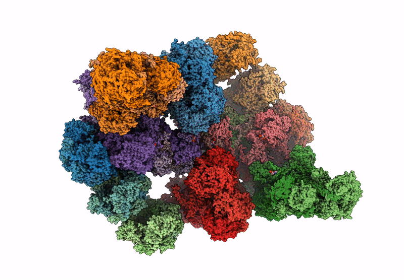 9F62 image