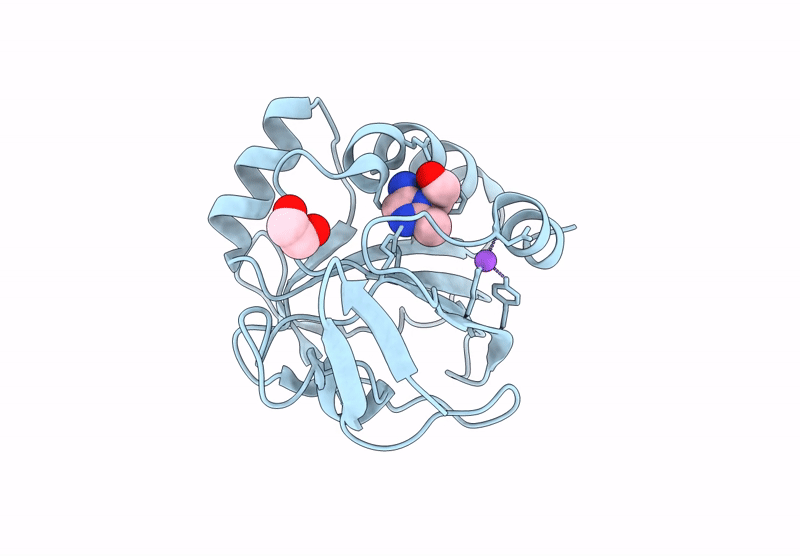 9F64 image