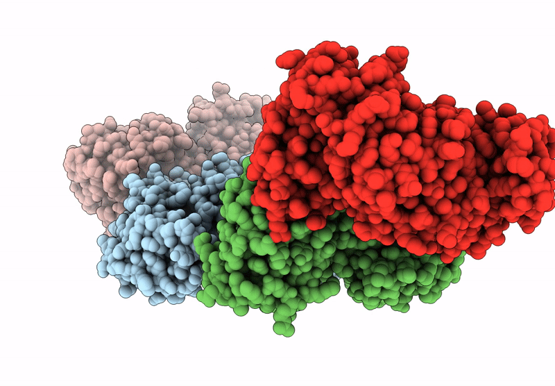 9F82 image