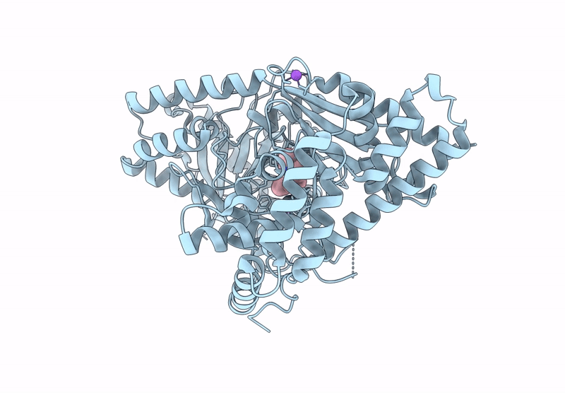 9F85 image