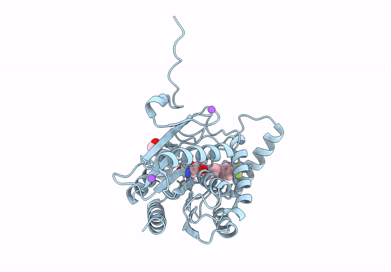 9F8B image