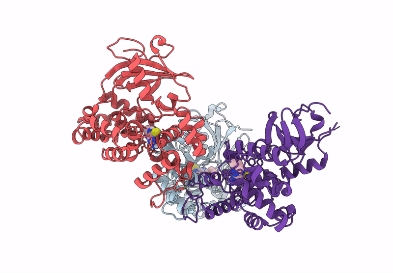 9F8V image