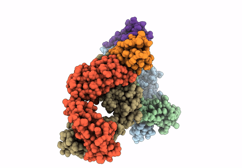 9F91 image