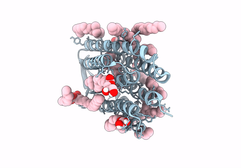 9F9D image