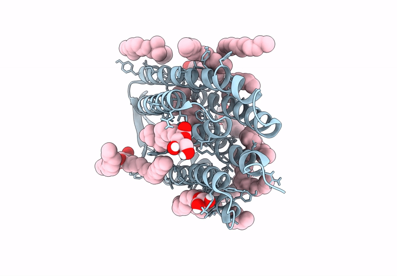 9F9G image
