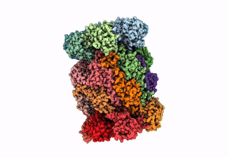 9F9P image