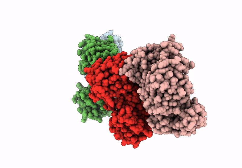9F9R image