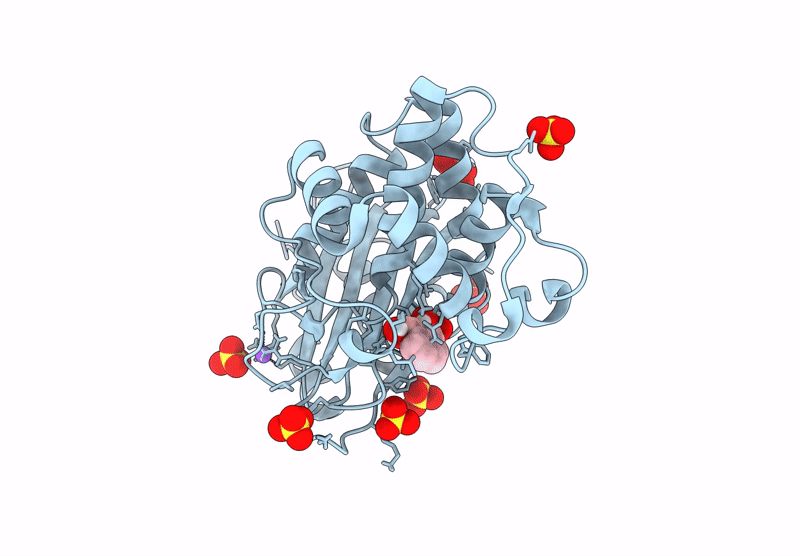 9FBT image
