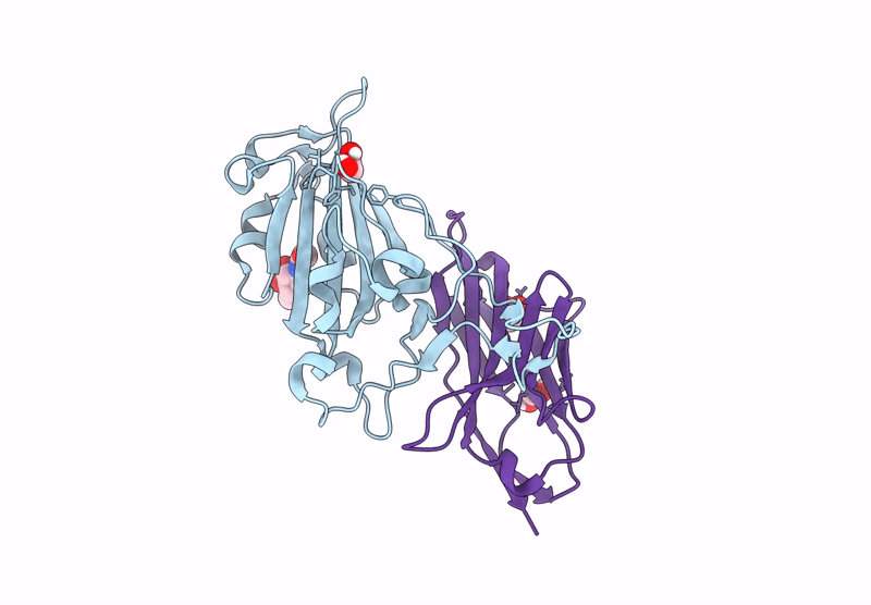 9FC2 image
