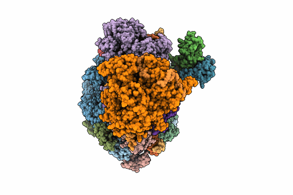 9FD2 image