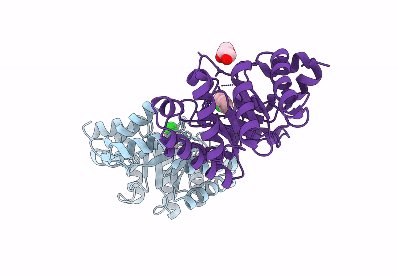 9FD8 image