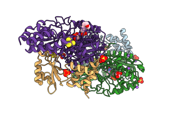 9FDV image