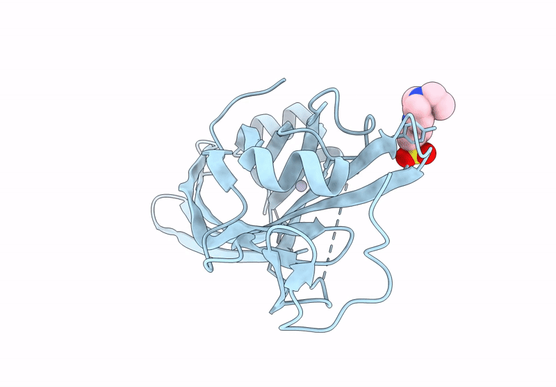 9FEI image
