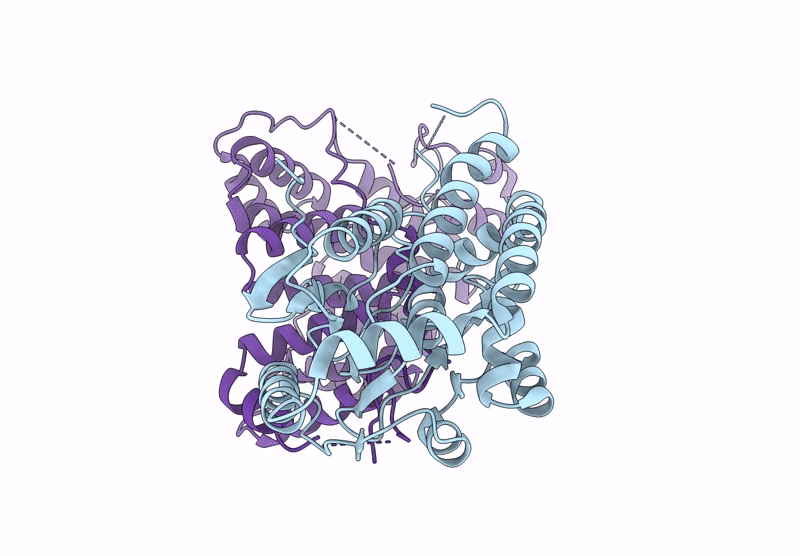 9FH0 image