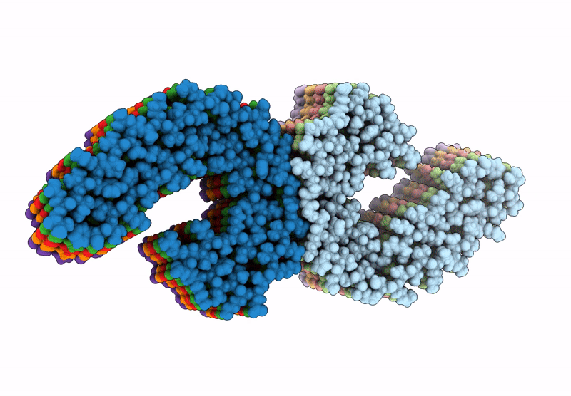 9FH6 image