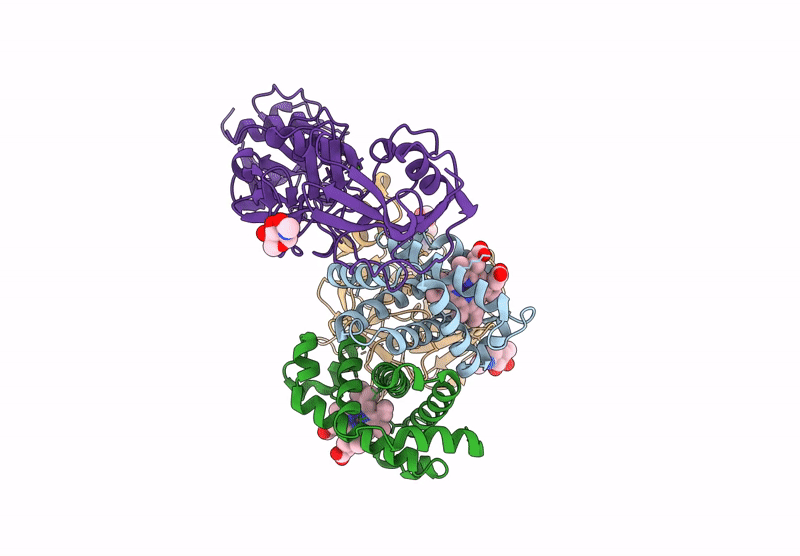 9FHB image