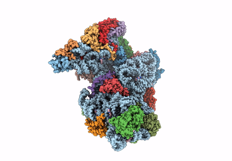 9FHL image