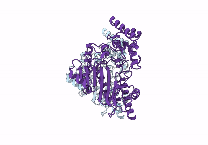 9FHN image