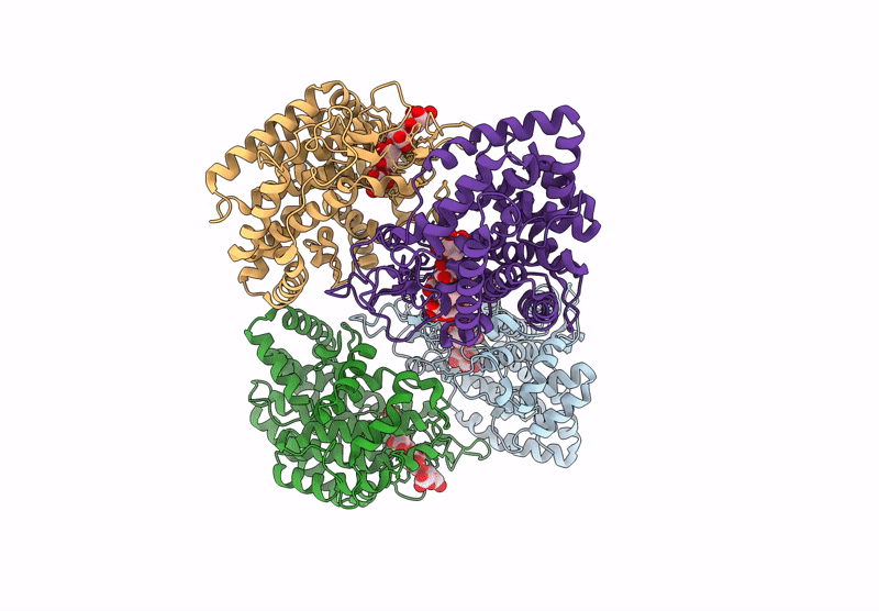 9FHX image
