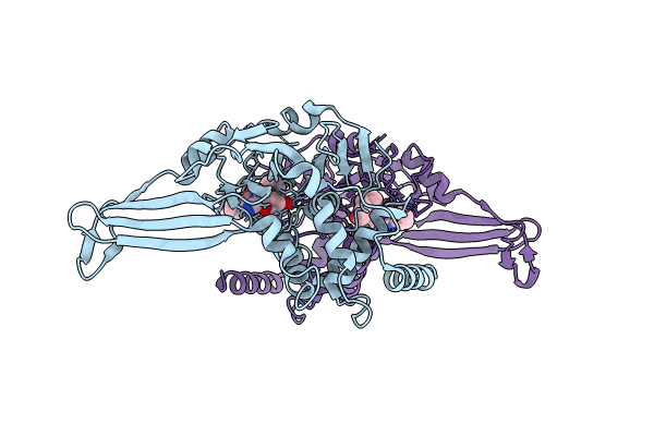 9FIP image