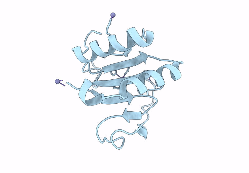 9FLM image