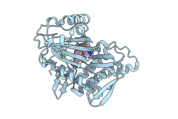 9FLO image