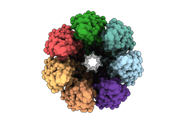 9FLP image