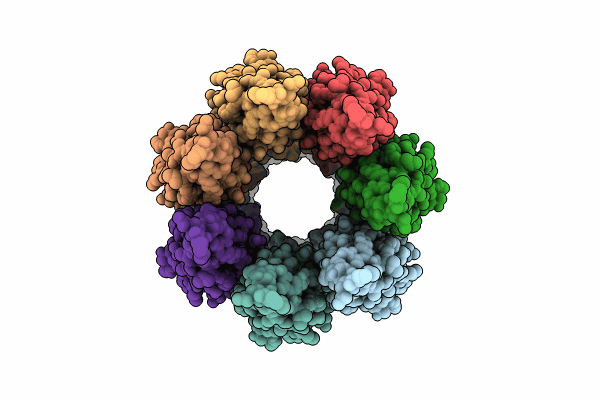 9FLX image