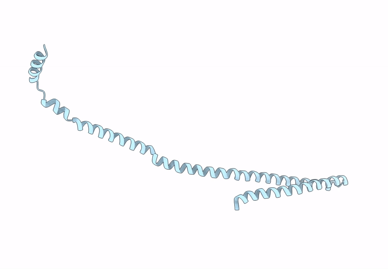 9FN1 image