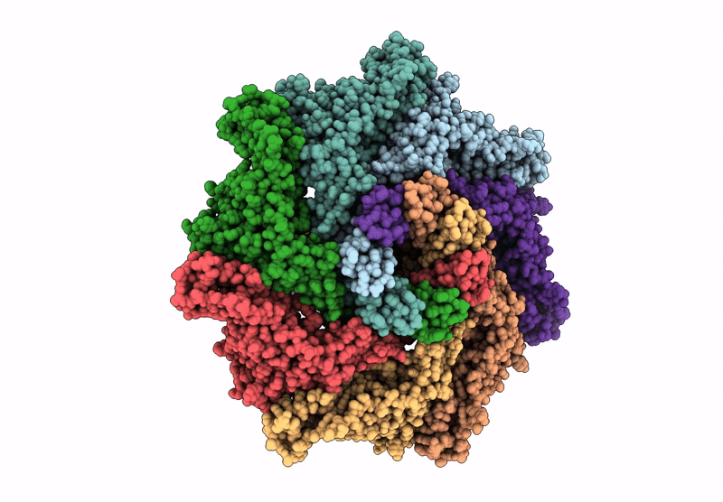 9FNP image
