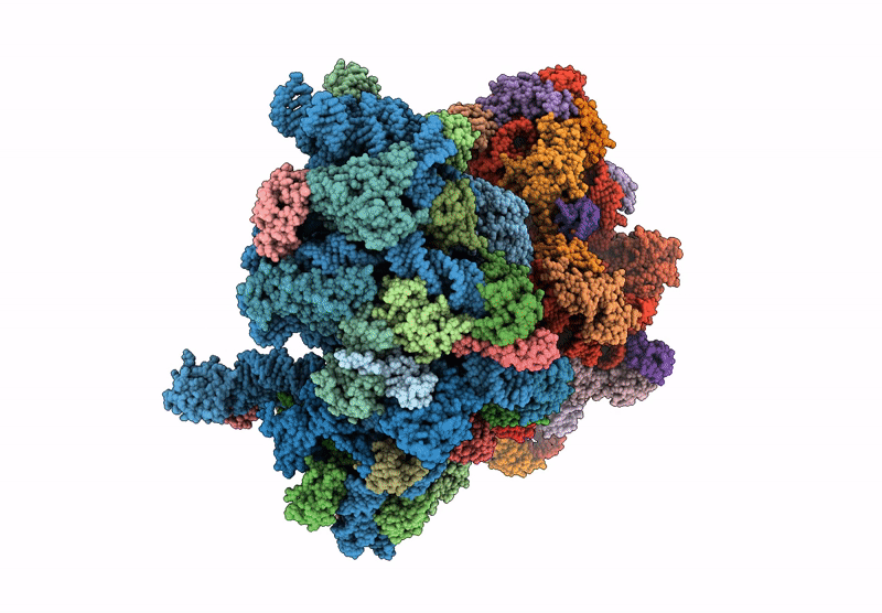 9FNZ image