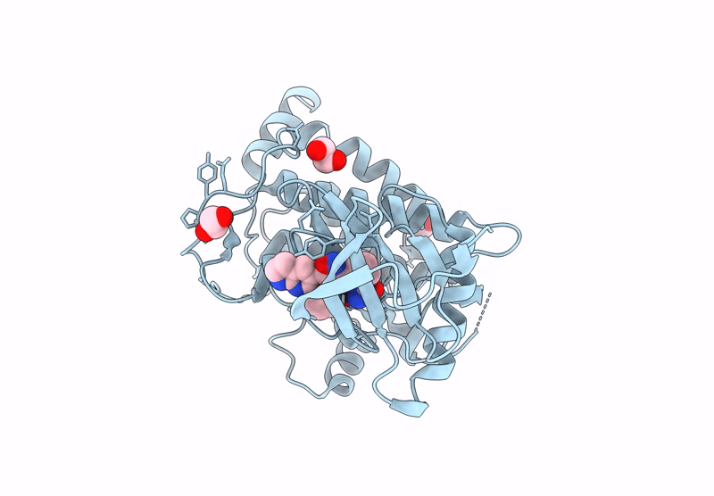 9FPD image