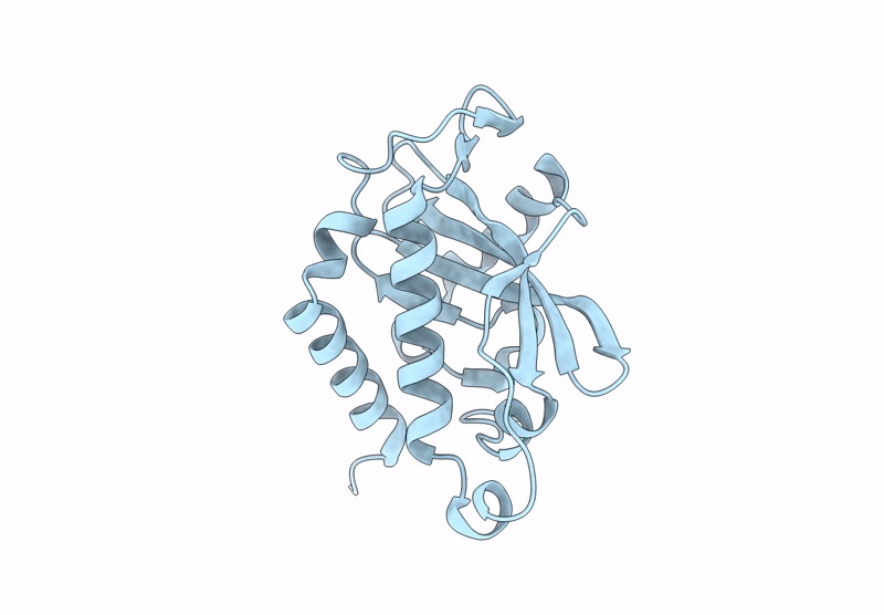 9FPM image