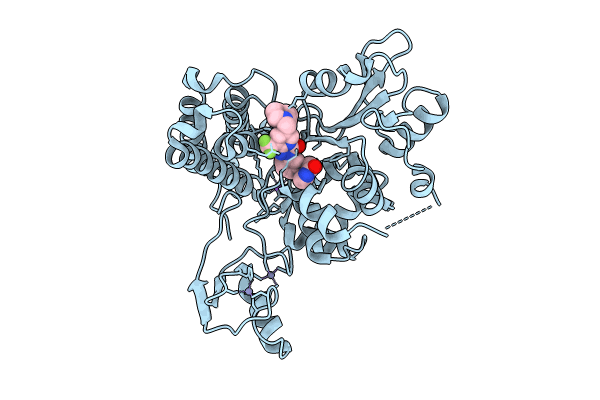 9FQI image