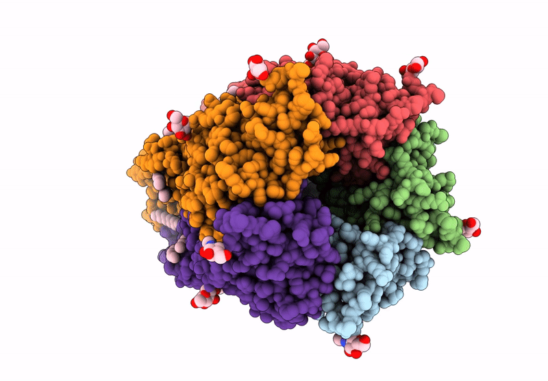 9FRG image