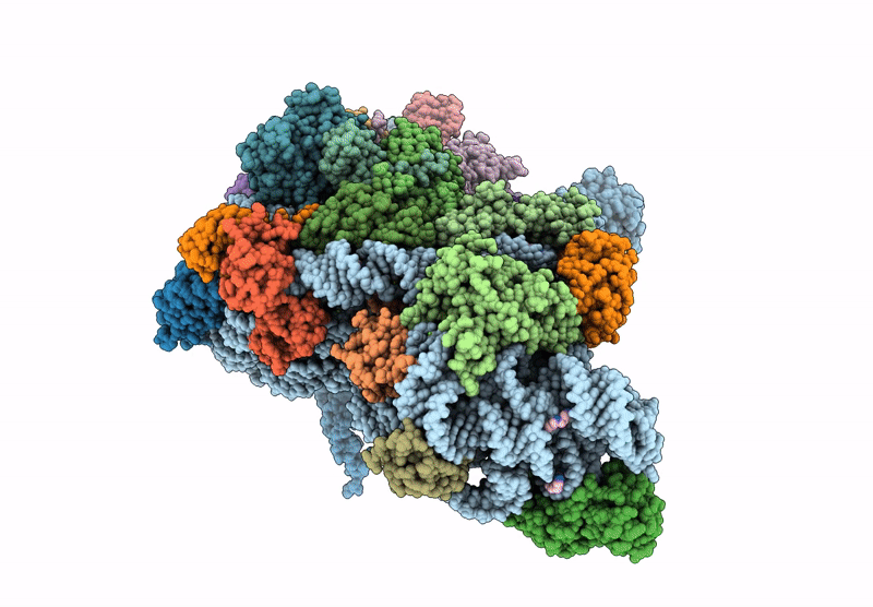 9FRK image