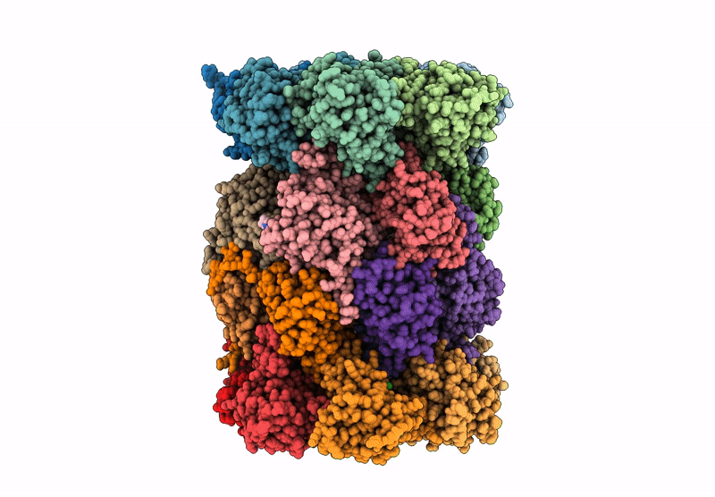 9FRW image