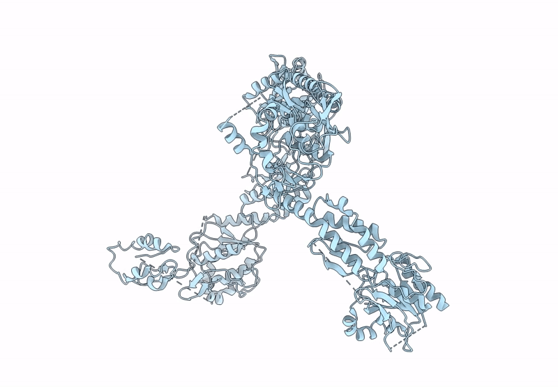 9FRX image
